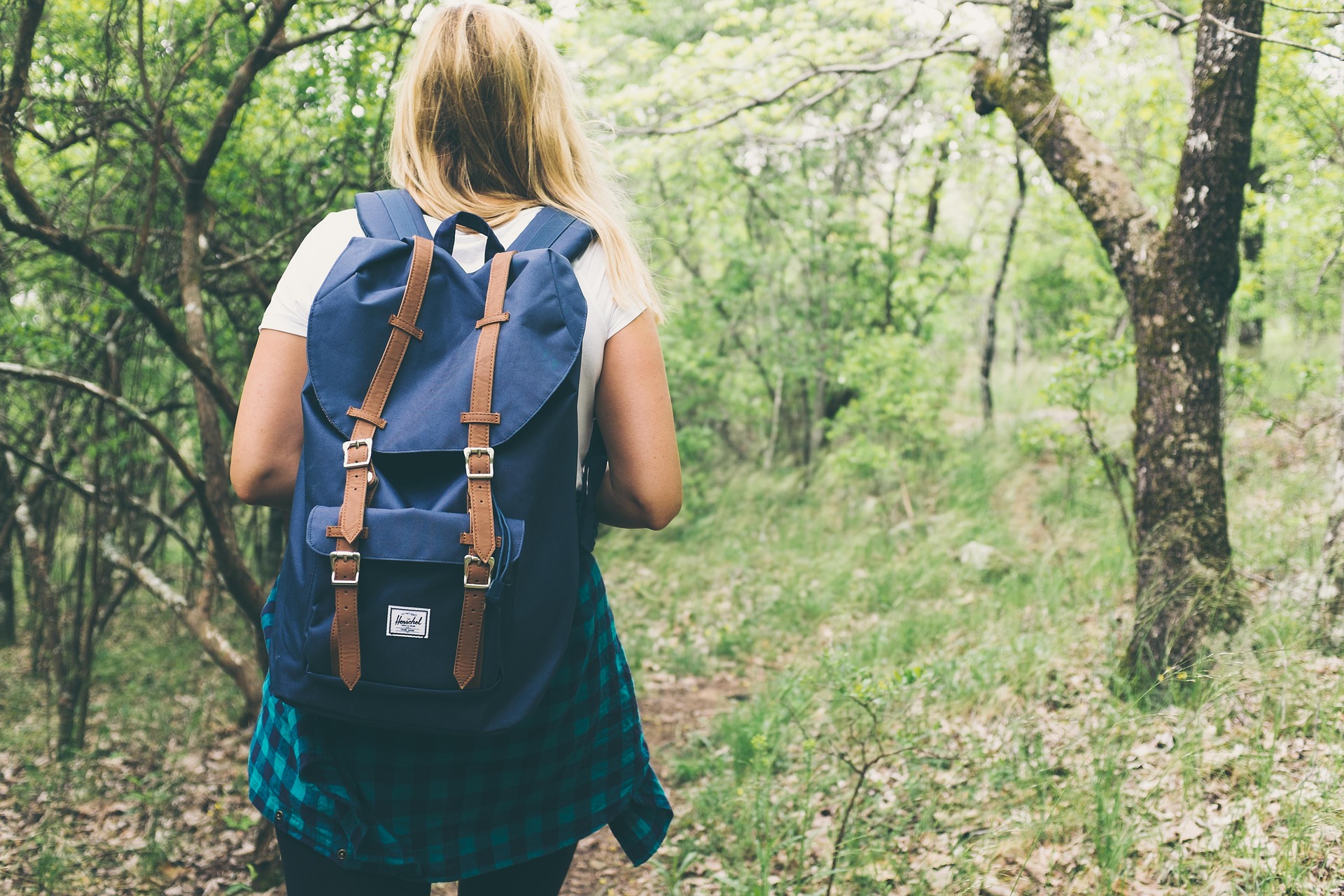 Adolescenza: una visione di insieme